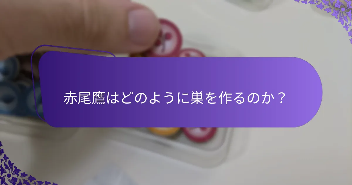 赤尾鷹はどのように巣を作るのか？