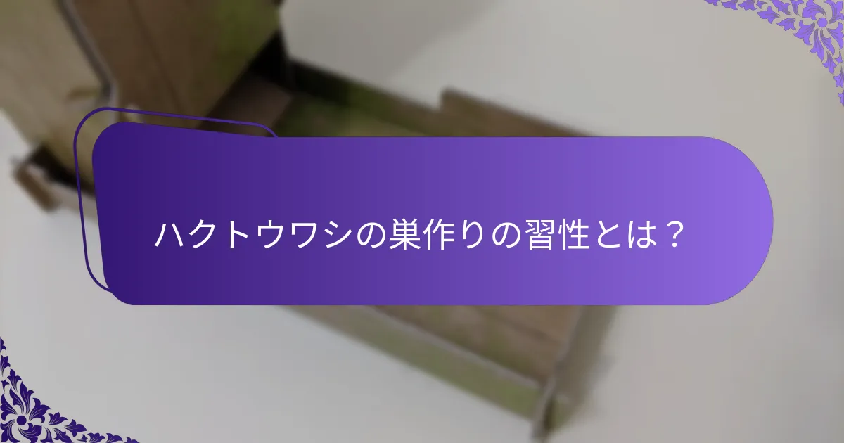 ハクトウワシの保護状況と脅威は何ですか？